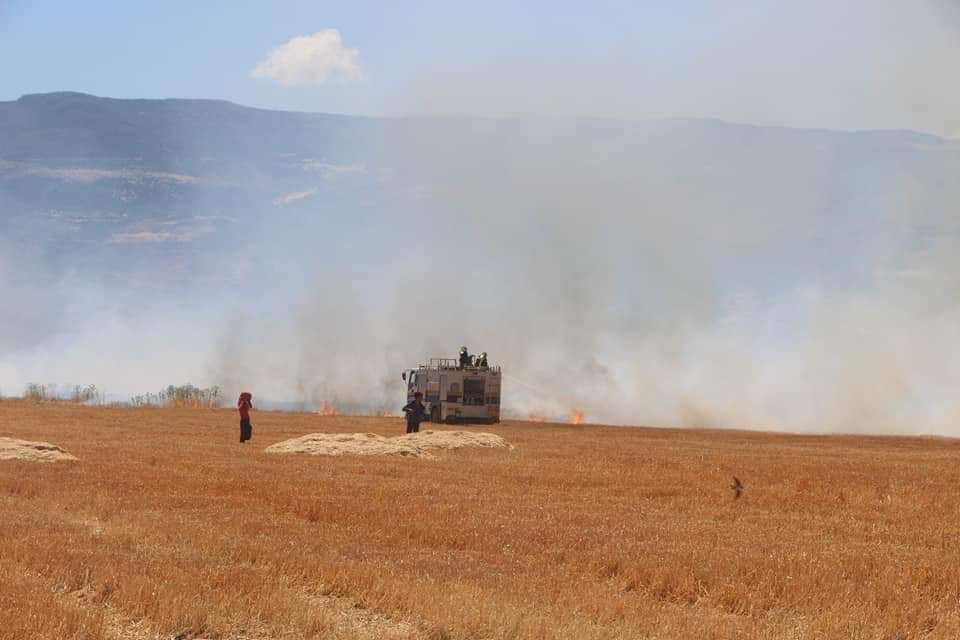 لليوم الرابع على التوالي لا تزال الحرائق تلتهم المحاصيل الزراعية في منطقة سهل الغاب بريف حماة الغربي، التي تسببت بخسارة كبيرة للمزارعين.