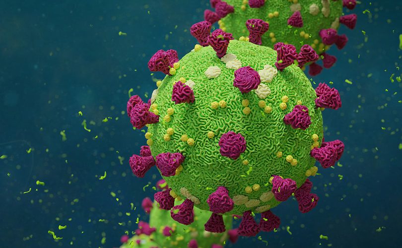 سجلت إحدى الدول العربية إصابات عديدة بالمتحور الجديد من فيروس كورونا (دلتا B.1.617) وهو الفيروس الذي أثار رعبًا كبيرًا وقلقًا لدى السلطات الدولية والهيئات الصحية حول العالم