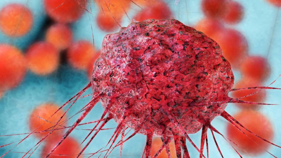  ابتكر علماء بريطانيون ما أطلقوا عليه ( قنبلة سكر) يمكنها أن تقضي على خلايا السرطان في ثوان، وتساهم في إنقاذ أعداد هائلة من المرضى ومساعدتهم في التخلص من المرض.