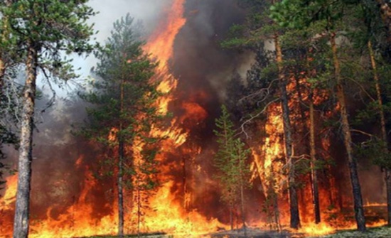 وصلت خطورة الحرائق في أغلب مناطق الغابات شمال غربي سورية إلى مستويات مرتفعة، ما هدد بارتفاع مؤشر خطورة الحريق على المنطقة.