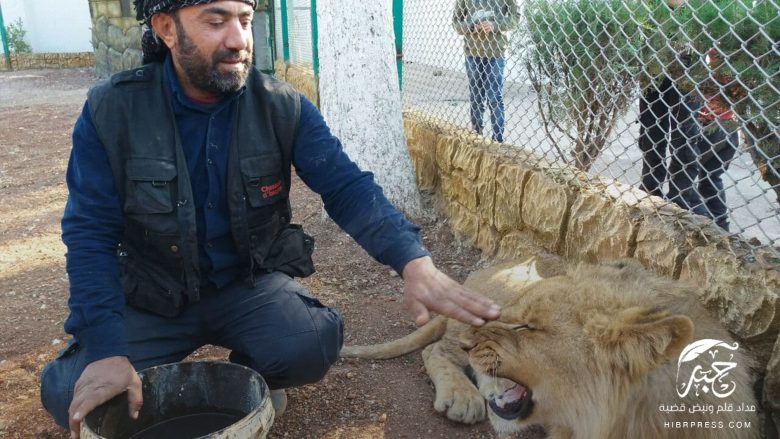 إدلب تفتح أول حديقة للحيوانات المفترسة والأليفة (صور)
