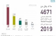 شبكة حقوقية تصدر تقريراً يرصد عدد الاعتقالات التعسفية خلال 2019